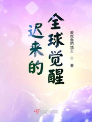 全球骑士觉醒