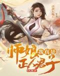 师娘我真是正人君子无删减版下载