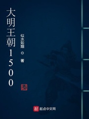 大明王朝1449免费