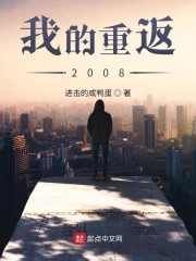 我的重返2008小说下载